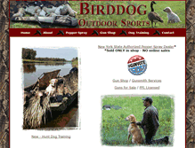 Tablet Screenshot of birddogoutdoorsports.com